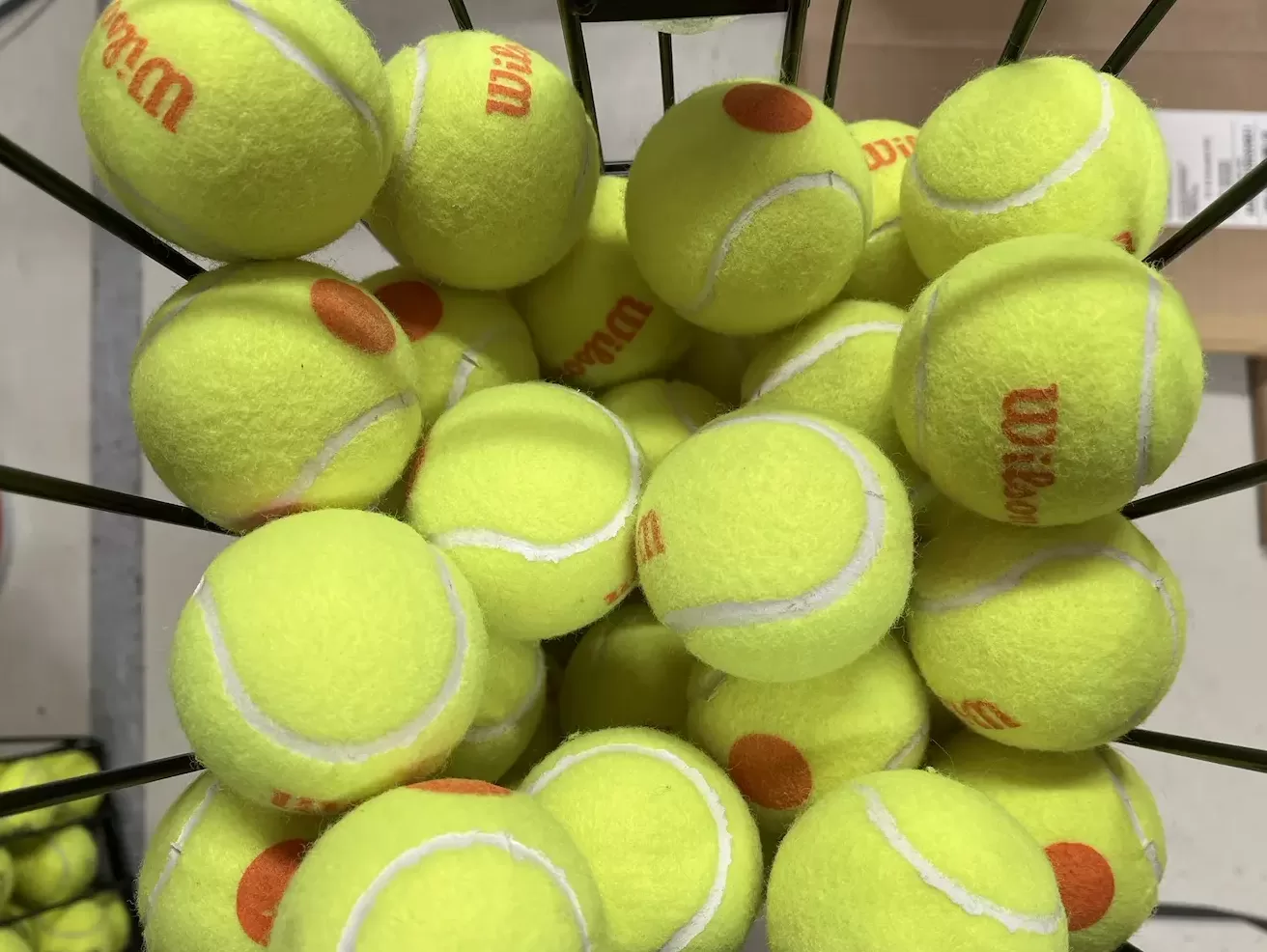 Oranssi täpläpallokoppa